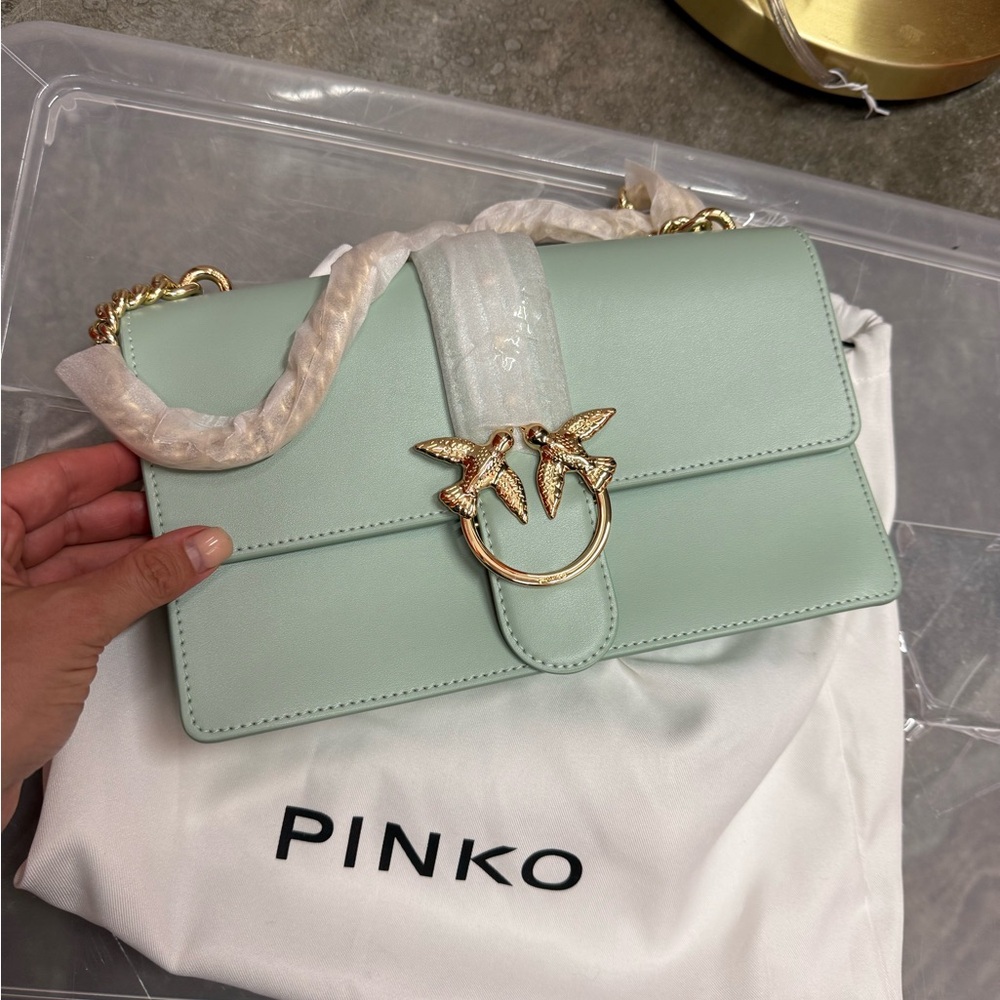 Pinko Real!!! New!!! Light Green Crossbody Bag with Gold Accents